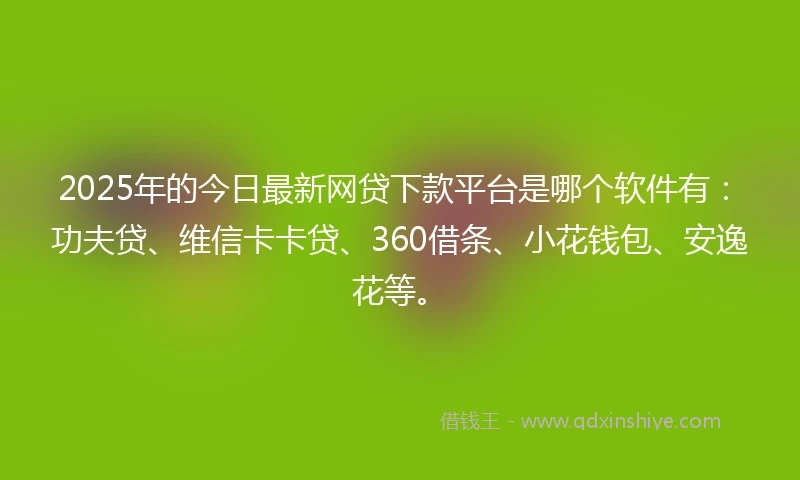 2025年的今日最新网贷下款平台是哪个软件有：功夫贷、维信卡卡贷、360借条、小花钱包、安逸花等。