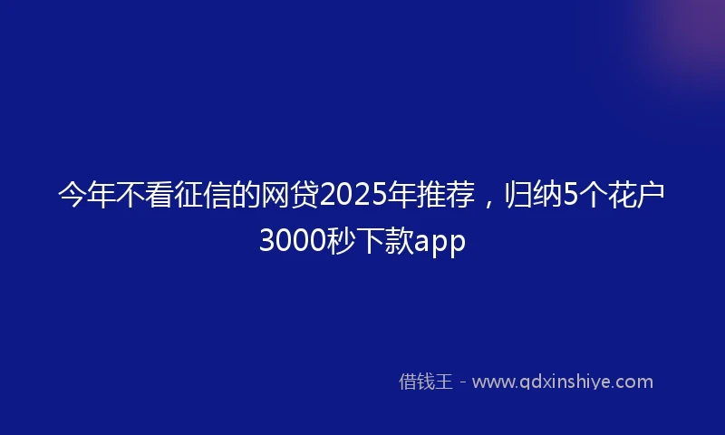 今年不看征信的网贷2025年推荐，归纳5个花户3000秒下款app