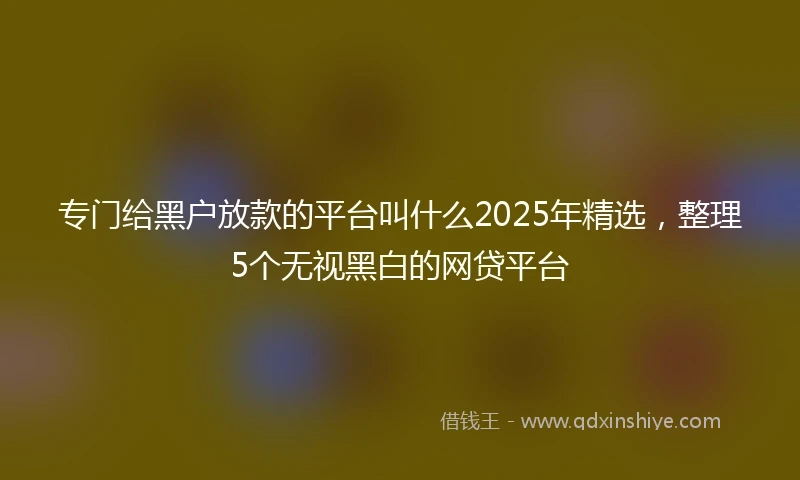 专门给黑户放款的平台叫什么2025年精选，整理5个无视黑白的网贷平台