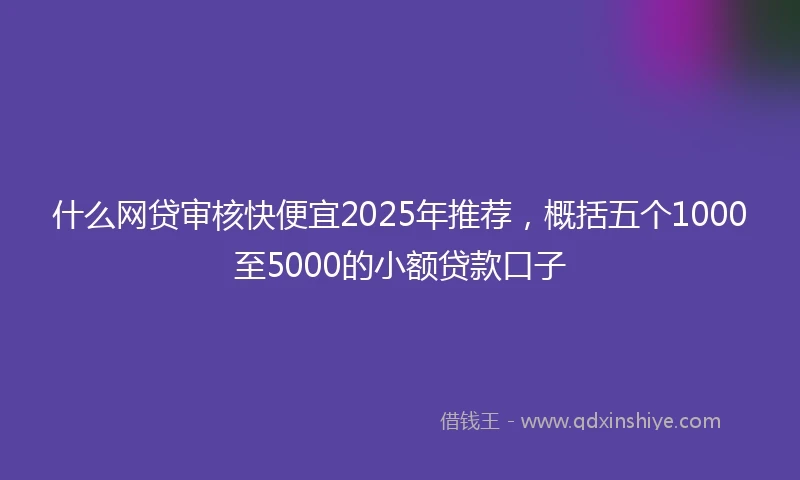 什么网贷审核快便宜2025年推荐，概括五个1000至5000的小额贷款口子