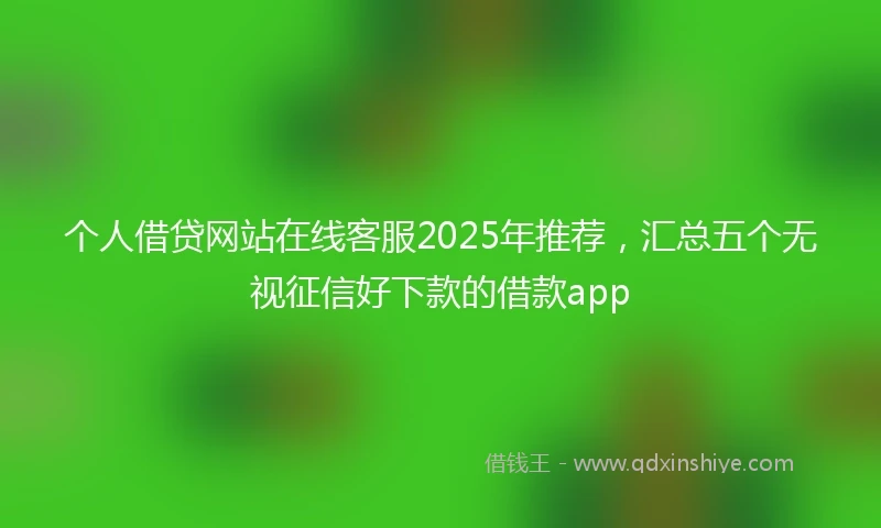 个人借贷网站在线客服2025年推荐，汇总五个无视征信好下款的借款app