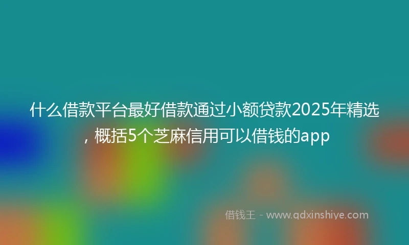 什么借款平台最好借款通过小额贷款2025年精选，概括5个芝麻信用可以借钱的app
