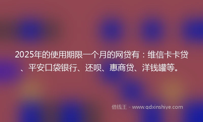 2025年的使用期限一个月的网贷有：维信卡卡贷、平安口袋银行、还呗、惠商贷、洋钱罐等。