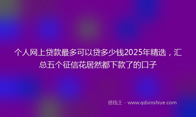 个人网上贷款最多可以贷多少钱2025年精选，汇总五个征信花居然都下款了的口子