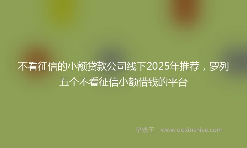 不看征信的小额贷款公司线下2025年推荐，罗列五个不看征信小额借钱的平台