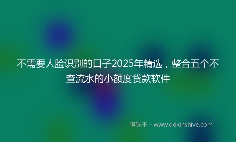 不需要人脸识别的口子2025年精选，整合五个不查流水的小额度贷款软件