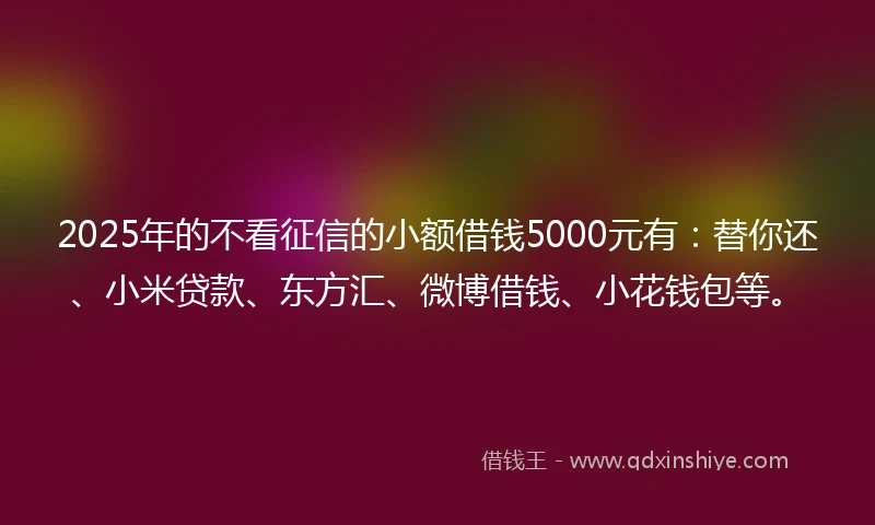 2025年的不看征信的小额借钱5000元有：替你还、小米贷款、东方汇、微博借钱、小花钱包等。