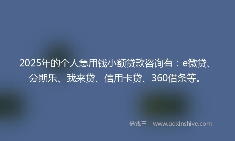 2025年的个人急用钱小额贷款咨询有：e微贷、分期乐、我来贷、信用卡贷、360借条等。