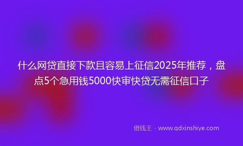 什么网贷直接下款且容易上征信2025年推荐，盘点5个急用钱5000快审快贷无需征信口子