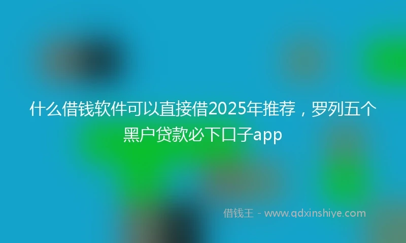 什么借钱软件可以直接借2025年推荐，罗列五个黑户贷款必下口子app