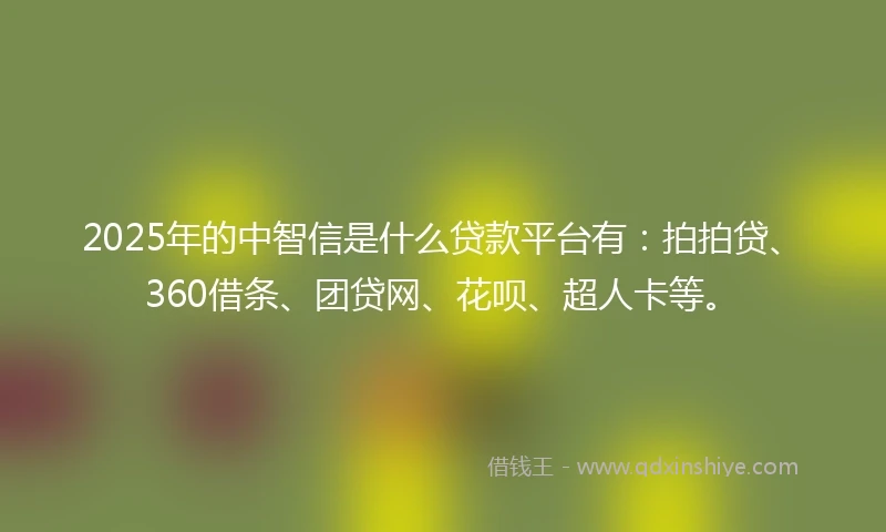 2025年的中智信是什么贷款平台有：拍拍贷、360借条、团贷网、花呗、超人卡等。
