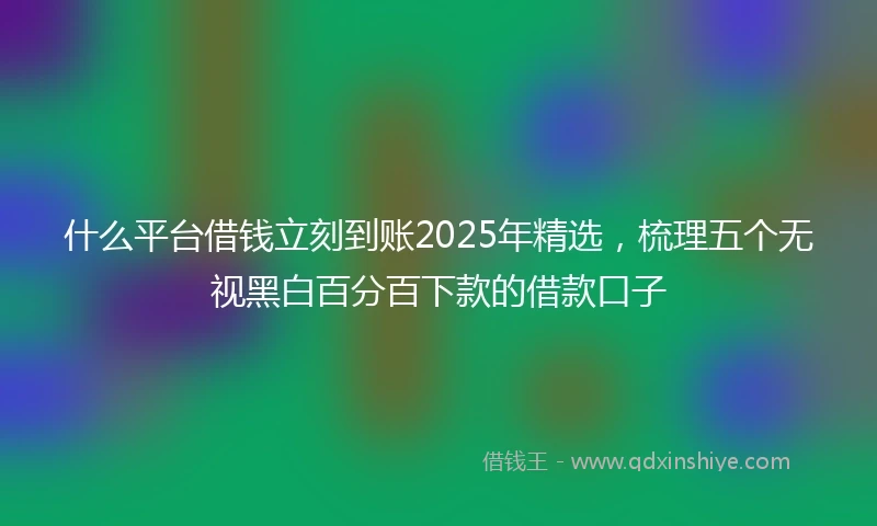 什么平台借钱立刻到账2025年精选，梳理五个无视黑白百分百下款的借款口子