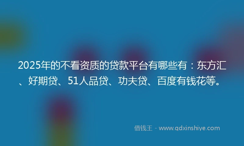 2025年的不看资质的贷款平台有哪些有：东方汇、好期贷、51人品贷、功夫贷、百度有钱花等。