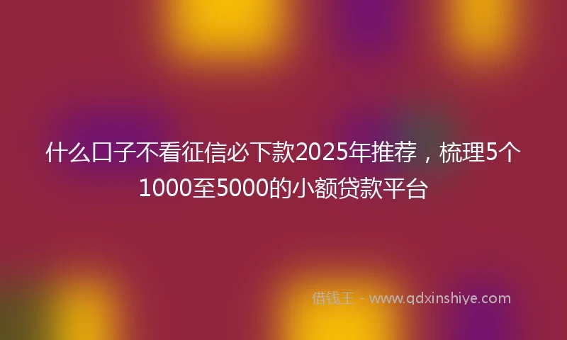 什么口子不看征信必下款2025年推荐，梳理5个1000至5000的小额贷款平台