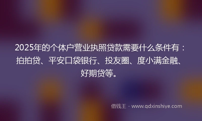 2025年的个体户营业执照贷款需要什么条件有：拍拍贷、平安口袋银行、投友圈、度小满金融、好期贷等。