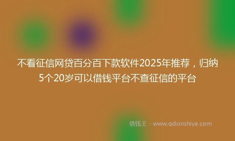 不看征信网贷百分百下款软件2025年推荐，归纳5个20岁可以借钱平台不查征信的平台