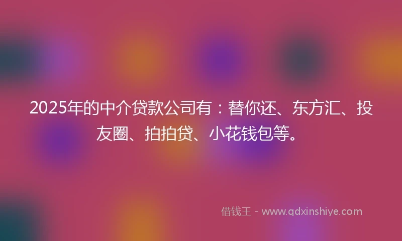 2025年的中介贷款公司有：替你还、东方汇、投友圈、拍拍贷、小花钱包等。