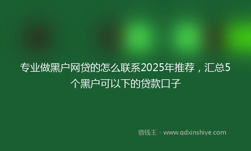 专业做黑户网贷的怎么联系2025年推荐，汇总5个黑户可以下的贷款口子