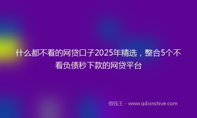 什么都不看的网贷口子2025年精选，整合5个不看负债秒下款的网贷平台