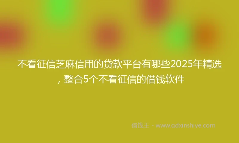不看征信芝麻信用的贷款平台有哪些2025年精选，整合5个不看征信的借钱软件