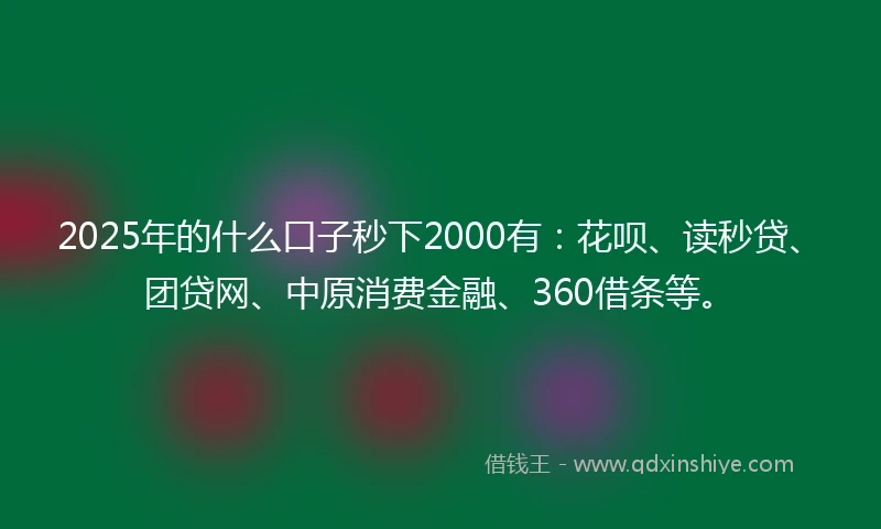 2025年的什么口子秒下2000有：花呗、读秒贷、团贷网、中原消费金融、360借条等。