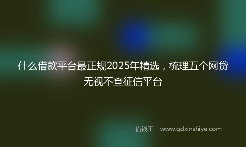 什么借款平台最正规2025年精选，梳理五个网贷无视不查征信平台