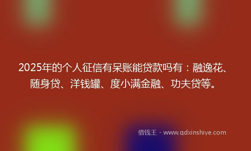 2025年的个人征信有呆账能贷款吗有：融逸花、随身贷、洋钱罐、度小满金融、功夫贷等。