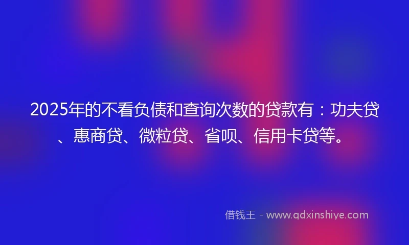 2025年的不看负债和查询次数的贷款有：功夫贷、惠商贷、微粒贷、省呗、信用卡贷等。