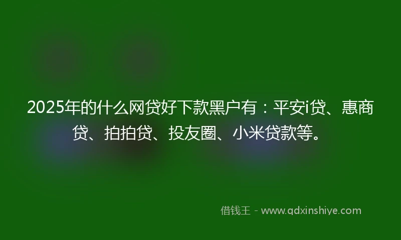 2025年的什么网贷好下款黑户有：平安i贷、惠商贷、拍拍贷、投友圈、小米贷款等。