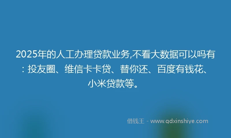 2025年的人工办理贷款业务,不看大数据可以吗有：投友圈、维信卡卡贷、替你还、百度有钱花、小米贷款等。