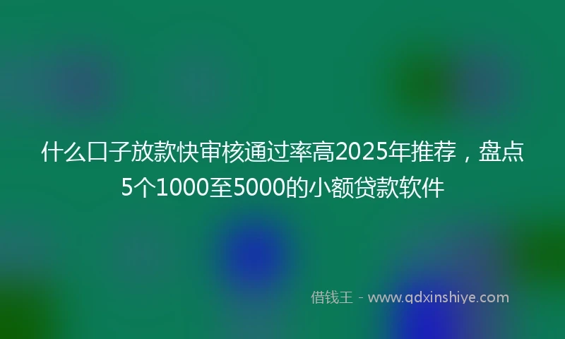 什么口子放款快审核通过率高2025年推荐，盘点5个1000至5000的小额贷款软件