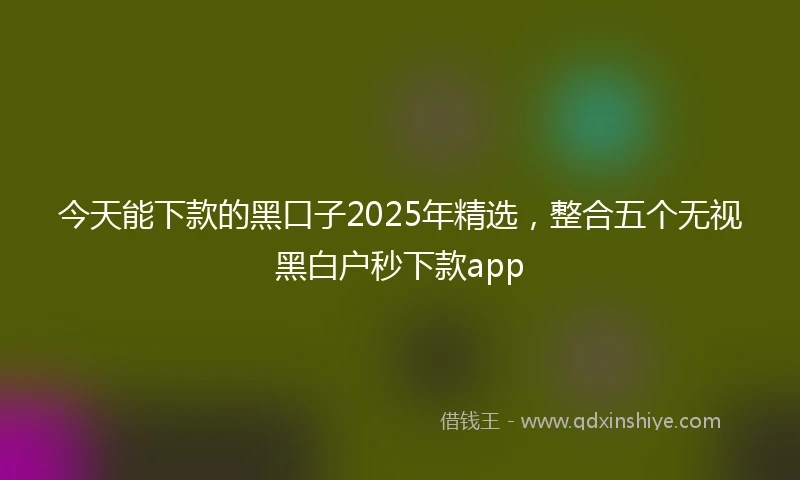 今天能下款的黑口子2025年精选，整合五个无视黑白户秒下款app
