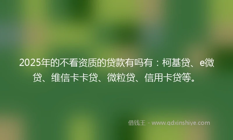 2025年的不看资质的贷款有吗有：柯基贷、e微贷、维信卡卡贷、微粒贷、信用卡贷等。