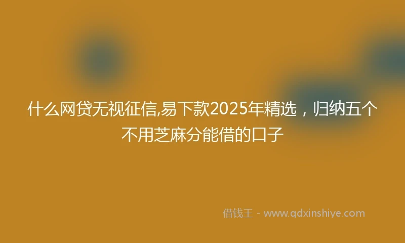 什么网贷无视征信,易下款2025年精选，归纳五个不用芝麻分能借的口子