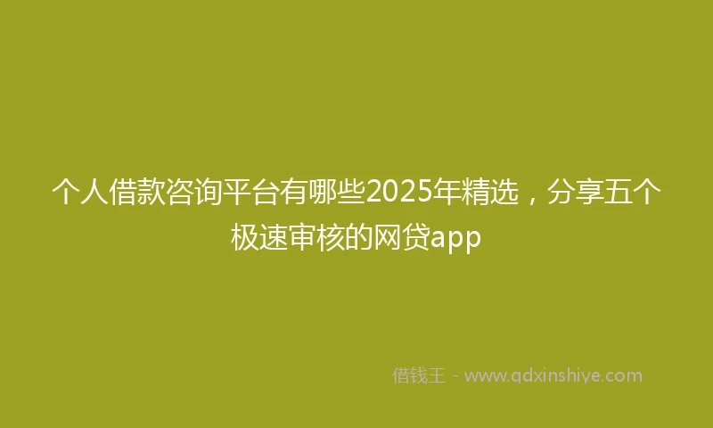 个人借款咨询平台有哪些2025年精选，分享五个极速审核的网贷app