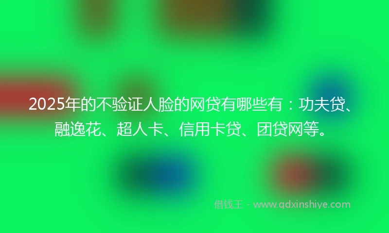 2025年的不验证人脸的网贷有哪些有：功夫贷、融逸花、超人卡、信用卡贷、团贷网等。