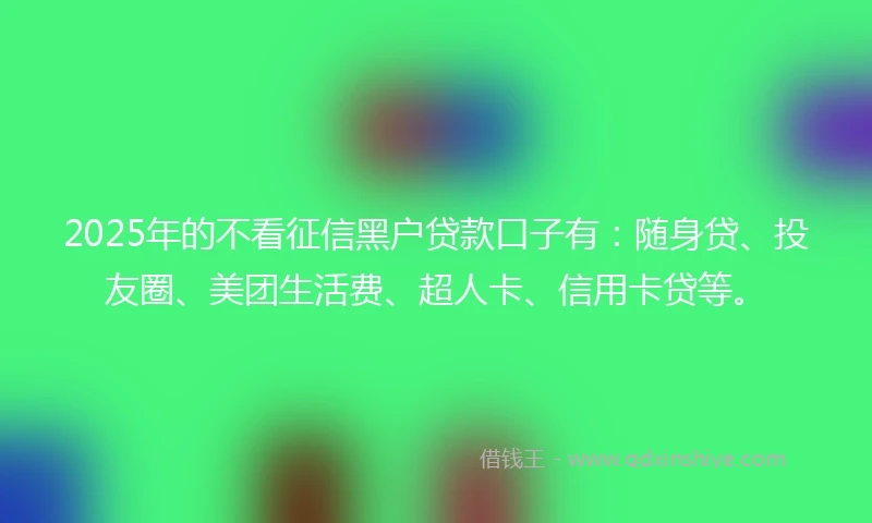 2025年的不看征信黑户贷款口子有：随身贷、投友圈、美团生活费、超人卡、信用卡贷等。