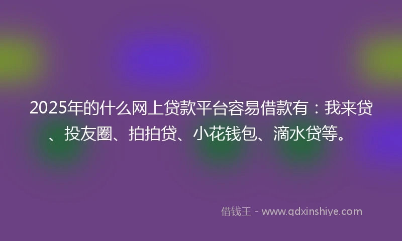 2025年的什么网上贷款平台容易借款有：我来贷、投友圈、拍拍贷、小花钱包、滴水贷等。