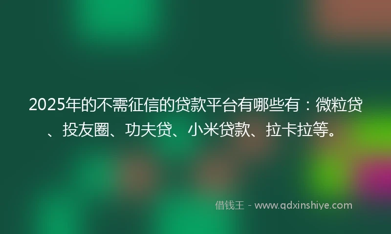 2025年的不需征信的贷款平台有哪些有：微粒贷、投友圈、功夫贷、小米贷款、拉卡拉等。