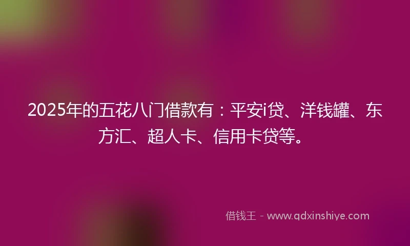 2025年的五花八门借款有：平安i贷、洋钱罐、东方汇、超人卡、信用卡贷等。