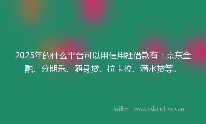 2025年的什么平台可以用信用社借款有：京东金融、分期乐、随身贷、拉卡拉、滴水贷等。