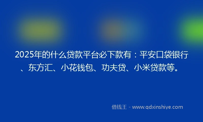 2025年的什么贷款平台必下款有：平安口袋银行、东方汇、小花钱包、功夫贷、小米贷款等。