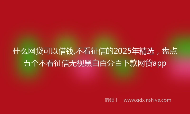 什么网贷可以借钱,不看征信的2025年精选，盘点五个不看征信无视黑白百分百下款网贷app