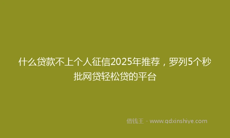 什么贷款不上个人征信2025年推荐，罗列5个秒批网贷轻松贷的平台