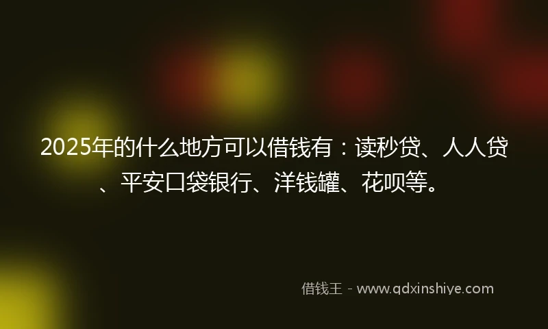2025年的什么地方可以借钱有：读秒贷、人人贷、平安口袋银行、洋钱罐、花呗等。