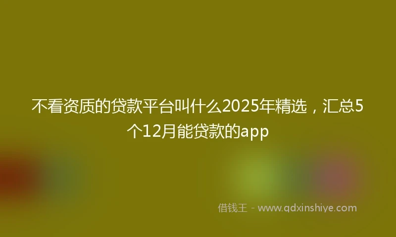不看资质的贷款平台叫什么2025年精选，汇总5个12月能贷款的app