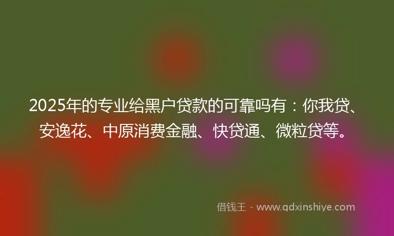 2025年的专业给黑户贷款的可靠吗有：你我贷、安逸花、中原消费金融、快贷通、微粒贷等。