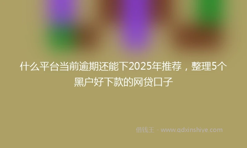 什么平台当前逾期还能下2025年推荐，整理5个黑户好下款的网贷口子