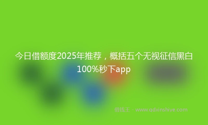 今日借额度2025年推荐，概括五个无视征信黑白100%秒下app