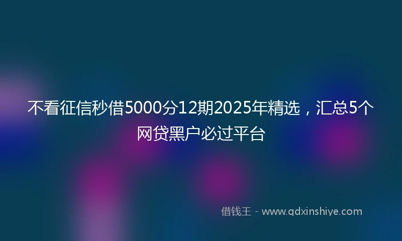不看征信秒借5000分12期2025年精选，汇总5个网贷黑户必过平台